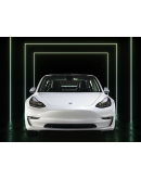 2021 Tesla MODEL 3 STANDARD RANGE PLUS | Range 448 km | Automatic