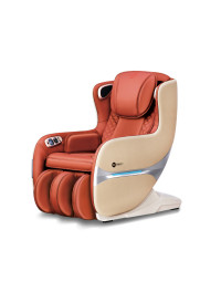 Massage Chair (6)